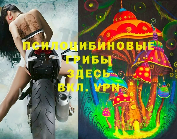 a pvp Абаза