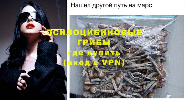амф Осинники