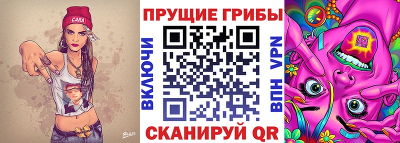 shop состав  Устюжна  Псилоцибиновые грибы прущие грибы  mega ссылка 